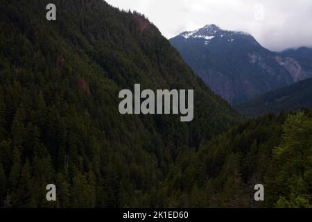 Der Skagit River fließt durch den Skagit Valley Provincial Park in der North Cascades Bergkette, British Columbia, Kanada. Stockfoto