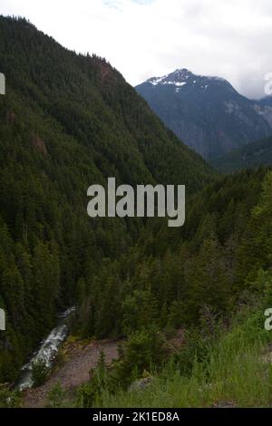 Der Skagit River fließt durch den Skagit Valley Provincial Park in der North Cascades Bergkette, British Columbia, Kanada. Stockfoto