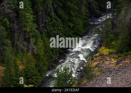 Der Skagit River fließt durch den Skagit Valley Provincial Park in der North Cascades Bergkette, British Columbia, Kanada. Stockfoto