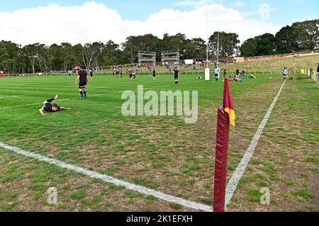 Bedford. Vereinigtes Königreich. 10. September 2022. Championship Rugby. Ampthill Rugby V Trikot Reds . Ampthill Rugby Club. Bedford. Die Teams wärmen sich während des Rugby-Spiels der V-Trikot-Reds-Meisterschaft in der ampthill Rugby-Meisterschaft auf. Stockfoto