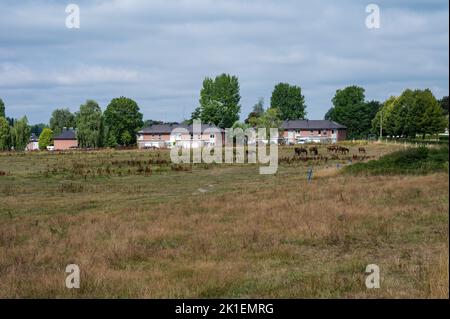 Courcelles, Wallon Region, Belgien, 08 01 2022 - Landwirtschaftsfeld und Bauernhäuser in der Wallonischen Landschaft Stockfoto