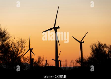 Windturbinen im Morgengrauen, in der Nähe von Woodville, Tararua District, North Island, Neuseeland Stockfoto