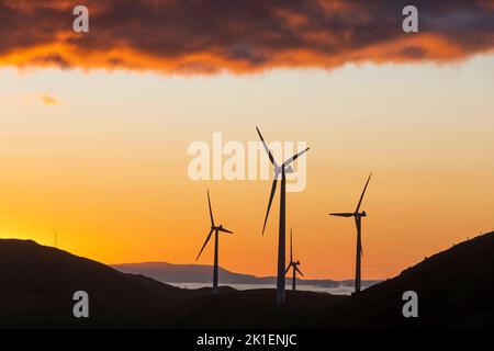 Windturbinen im Morgengrauen, in der Nähe von Woodville, Tararua District, North Island, Neuseeland Stockfoto