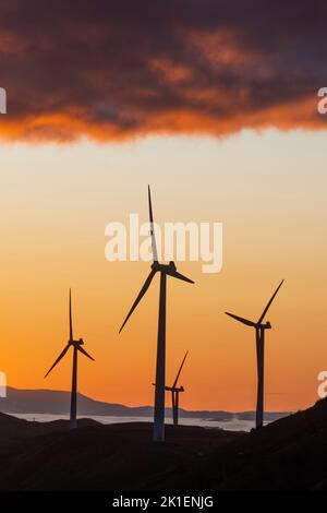 Windturbinen im Morgengrauen, in der Nähe von Woodville, Tararua District, North Island, Neuseeland Stockfoto