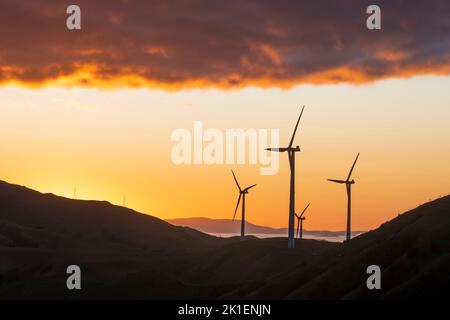 Windturbinen im Morgengrauen, in der Nähe von Woodville, Tararua District, North Island, Neuseeland Stockfoto