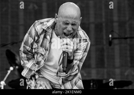 ARMORED SAINT HELLFEST Festival, Clisson, FRANKREICH , 19/06/2015 Florent 'MrCrash' B. Stockfoto