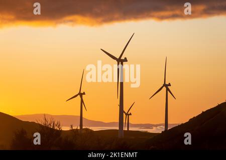 Windturbinen im Morgengrauen, in der Nähe von Woodville, Tararua District, North Island, Neuseeland Stockfoto