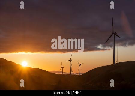 Windturbinen im Morgengrauen, in der Nähe von Woodville, Tararua District, North Island, Neuseeland Stockfoto