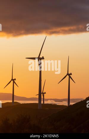 Windturbinen im Morgengrauen, in der Nähe von Woodville, Tararua District, North Island, Neuseeland Stockfoto