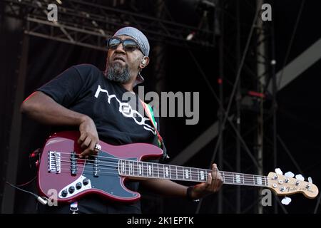 GOGOL BORDELLO SZIGET Festival, Budapest, UNGARN , 12/08/2015 Florent 'MrCrash' B. Stockfoto