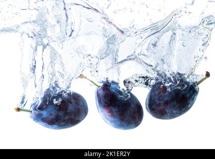 Die Pflaumen fielen in Wasser mit Spritzern isoliert auf weißem Hintergrund. Stockfoto