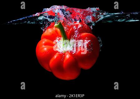 Große rote Paprika in Wasser mit Spritzern vor schwarzem Hintergrund gefallen. Stockfoto