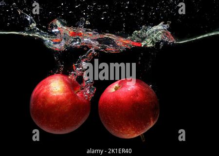 Ein Paar rote Äpfel, die in Wasser fallen, mit Blasen und Spritzern auf schwarzem Hintergrund isoliert. Stockfoto