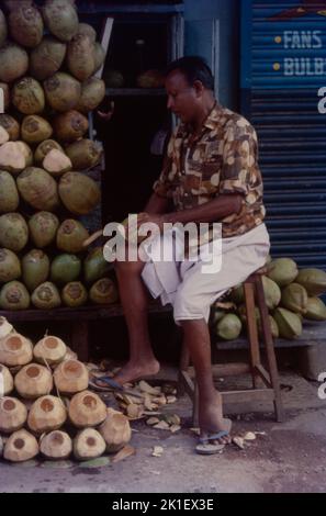 Nariyal Pani Wala, (Coconut Water Seller), Mumbai Stockfoto