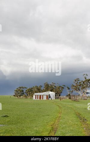 Ein Wellblechschuppen auf einer australischen Farm mit grünem Gras und einem launischen Himmel im Hintergrund gibt es Reifenspuren, die in Richtung des Schuppen führen. Stockfoto