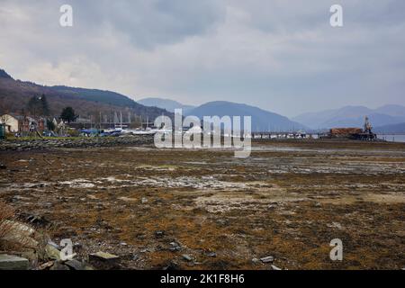 An einem trüben späten Nachmittag werden Yachten in der Marina von Dunoon am Holy Loch gelagert. Argyll und Bute Stockfoto