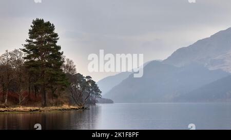 An einem späten Märzabend beginnt sanfter Regen auf die spiegelnde Stillfläche von Loch Eck zu fallen. Argyll und Bute Stockfoto