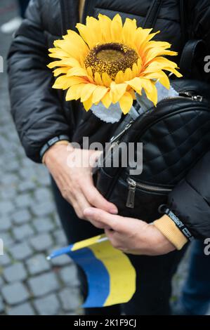 18. September 2022, Hessen, Frankfurt/Main: Ein Teilnehmer steht mit einer Sonnenblume auf dem Goetheplatz während einer Demonstration zur Unterstützung der Ukraine. Es ist eine Gegendemonstration zu einer pro-russischen Demonstration auf dem Opernplatz. Foto: Sebastian Gollnow/dpa Stockfoto