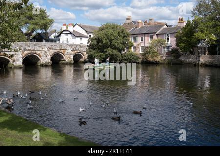 Angeln in Christchurch Dorset UK Stockfoto