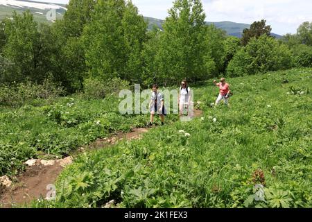 Familienspaziergang auf dem Weg, der die Wiese auf dem Lago-Naki-Hochplateau, Adygea, überquert Stockfoto