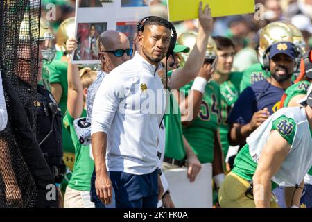 17. September 2022: Notre Dame-Cheftrainer Marcus Freeman während der NCAA-Fußballspiel-Action zwischen den California Golden Bears und der Notre Dame Fighting Irish im Notre Dame Stadium in South Bend, Indiana. Notre Dame besiegte Kalifornien 24-17. John Mersits/CSM. Stockfoto