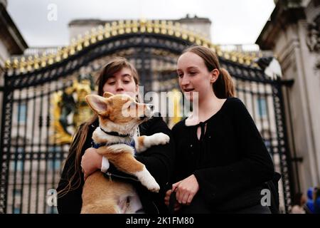 Zwei Frauen (Namen nicht angegeben) mit Clive the Corgi vor dem Buckingham Palace in London. Bilddatum: Sonntag, 18. September 2022. Stockfoto