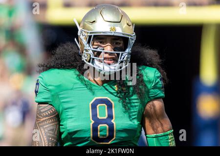17. September 2022: Notre Dame Linebacker Marist Liufau (8) während der NCAA-Fußballspiel-Action zwischen den kalifornischen Goldenen Bären und der Notre Dame Fighting Irish im Notre Dame Stadium in South Bend, Indiana. Notre Dame besiegte Kalifornien 24-17. John Mersits/CSM. Stockfoto
