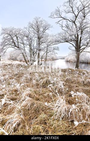 Winter auf dem Fluss Spey in Schottland. Stockfoto