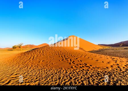 Dune 45 in Sossusvlei, Namibia, Afrika Stockfoto