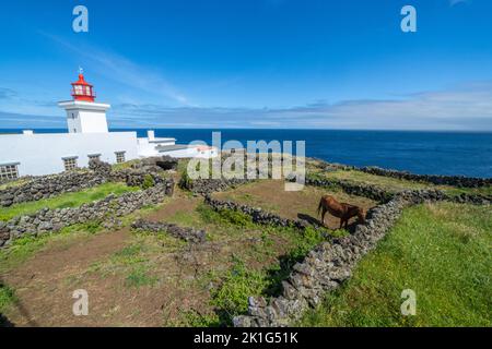 Der Leuchtturm von Ponta das Contendas und ein Pferd auf der Terceira-Insel, Azoren, Portugal. Stockfoto