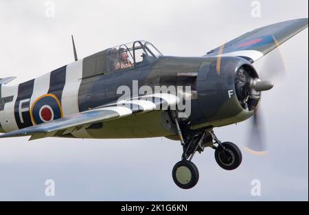 Grumman FM2 Wildcat (G-RUMW) landete in der Abenddämmerung, nachdem es auf der IWM Duxford Battle of Britain Airshow am 10.. September 2022 gezeigt wurde Stockfoto