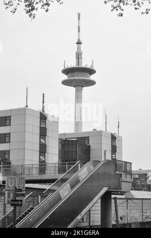 Eine vertikale Graustufenaufnahme eines Fernsehturms und einer Autobahnbrücke auf der A40 in Essen, Deutschland Stockfoto