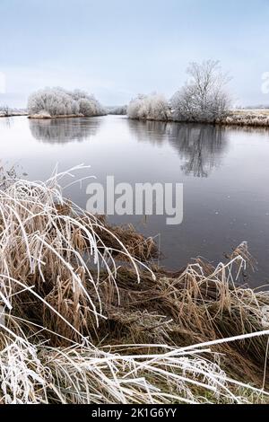 Winter auf dem Fluss Spey in Schottland. Stockfoto