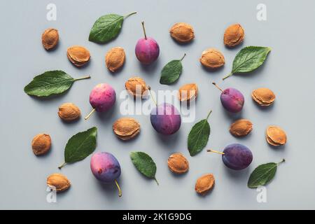 Pflaumen Samen und Blätter als Frucht Hintergrund Muster, Herbst flach legen Stockfoto