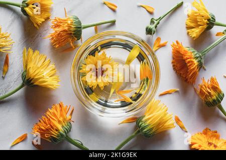 Hausgemachte Calendula infundiert Öl in einer Schüssel, Ringelblumen auf weißem Hintergrund, Kräuter Medizin flach legen Stockfoto