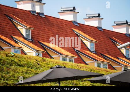 Ein weißes Haus mit vielen Fenstern und braunen Dachziegeln mit grünem Gras und schwarzen Schirmen Stockfoto