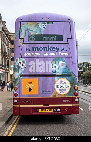 The Monkey Bus, Edinburgh Zoo Werbespot mit Affen auf der Rückseite eines Lothian-Busses auf der Princes Street, Edinburgh, Schottland, Großbritannien. Stockfoto