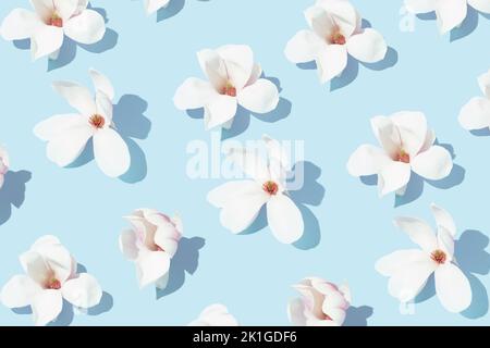 Frühlingsmuster mit weißen Magnolienblüten auf blauem Hintergrund. Stockfoto