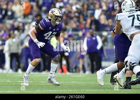 Seattle, WA, USA. 17. September 2022. Carson Bruener, Washington Huskies-Linebacker (42) während des NCAA Football Game zwischen den Washington Huskies und den Michigan State Spartans im Husky Stadium in Seattle, WA. Washington besiegte Michigan State 39-28. Steve Faber/CSM/Alamy Live News Stockfoto