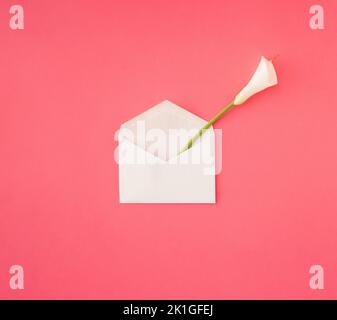 Offener weißer Einladungsumschlag mit weißer Calla Lily Blume (Zantedeschia aethiopica). Minimalkonzept. Stockfoto