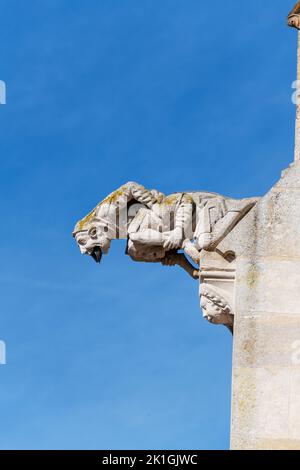 Ein Gargoyle an der Außenseite von Notre-Dame de l'Épine im kleinen Dorf L'epine in Marne, Grand Est Frankreich. Stockfoto