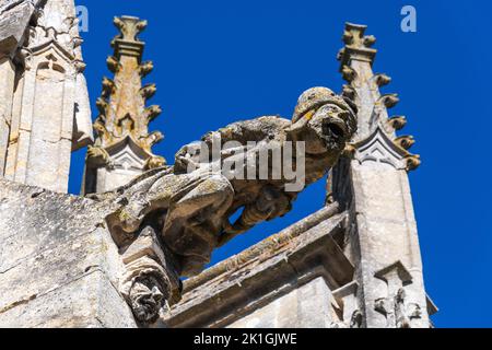 Ein Gargoyle an der Außenseite von Notre-Dame de l'Épine im kleinen Dorf L'epine in Marne, Grand Est Frankreich. Stockfoto