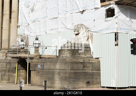 Löwen im Rathaus von Leeds Stockfoto