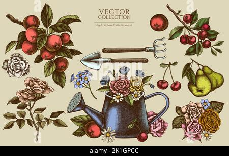 Gartenarbeit Vintage Illustrationen Kollektion. Handgezeichnete Logodesigns mit Gießkannen, Äpfeln, Kirsche, Rose, Birnen, Schaufel, Rechen, Kamille, Vergiss mich Stock Vektor