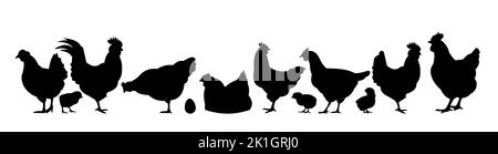 Hühner auf der Weide. Bildsilhouette. Haustiere auf dem Bauernhof. Hausgeflügel, um Eier zu bekommen. Isoliert auf weißem Hintergrund. Vektor Stock Vektor