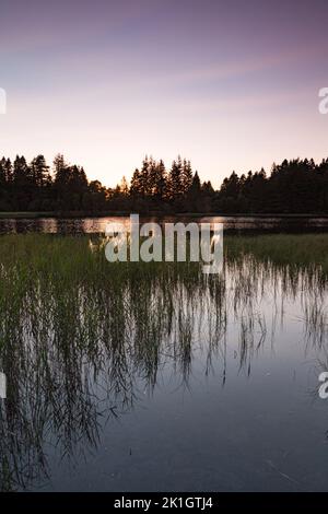 Queens Loch am Royal Deeside in Schottland Stockfoto