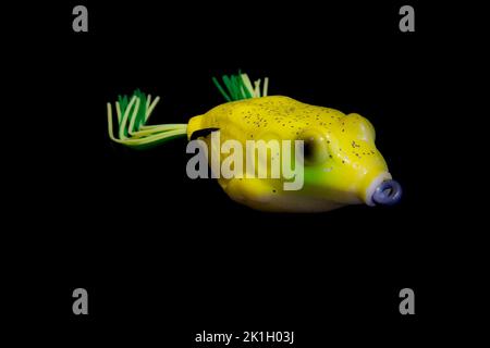 Köder für Raubfischfrosch isoliert auf schwarz. Stockfoto