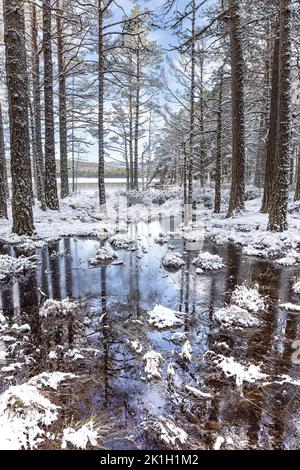 Winter am Loch Garten in den Cairngorms Stockfoto