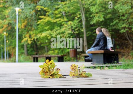 Herbstsaison, gefallene Eichenblätter auf einem Holzweg, unverschämter Blick auf das Paar, das auf einer Bank im Stadtpark sitzt Stockfoto