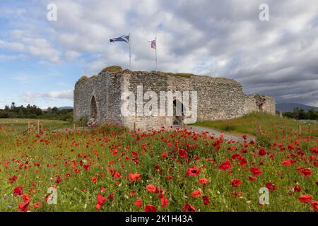 Castle Roy an der Nethy Bridge im Cairngorm National Park, Schottland Stockfoto